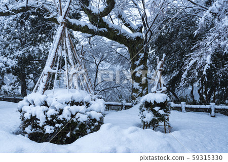 Snow fence and snow garden 59315330