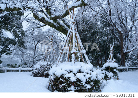 Snow fence and snow garden 59315331