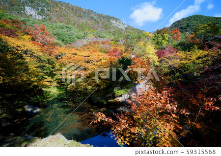 佐渡市的紅葉名勝古蹟山公園。 Kagamiike的反思 59315568