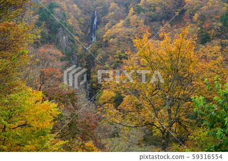 Autumn leaves of Yagaki 59316554