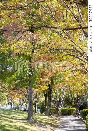 暮光公園 暮光公園 59317652