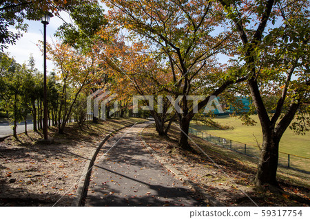 暮光公園 暮光公園 59317754