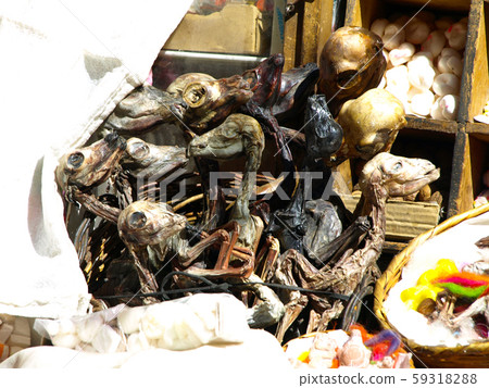 Dried fetus of llamas Dried fetus of llamas 59318288