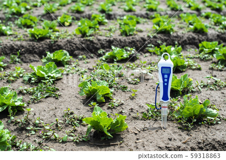 PH meter digital device pricked in the soil. PH meter digital device pricked in the soil. 59318863