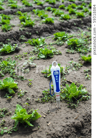 PH meter digital device pricked in the soil. 59318864