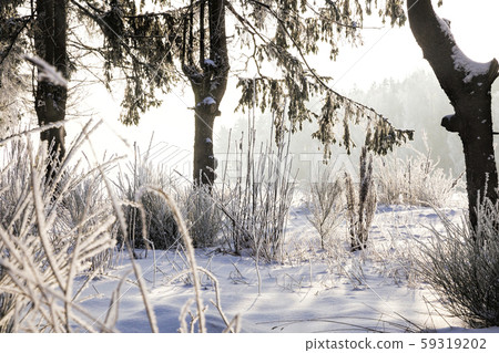 landscape in the winter time landscape in the winter time 59319202