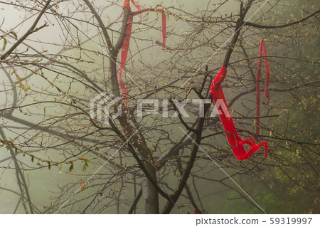 Red wool len with drop of dew in a cloudy mountain Red wool len with drop of dew in a cloudy mountain 59319997