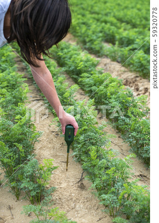 Measure soil with digital device. Green plants and 59320778