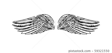 Vector hand drawn illustration of wings on... - Stock Illustration ...
