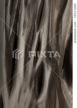 The product of the roots of oak, the texture of The product of the roots of oak, the texture of 59321889