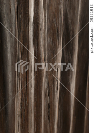 The product of the roots of oak, the texture of 59321918