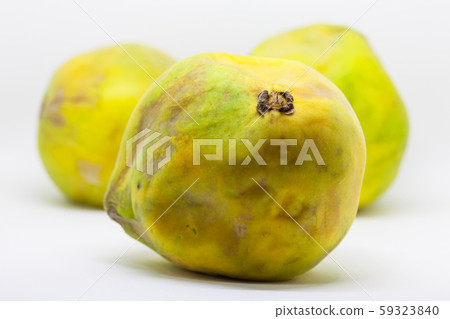 Fruit of the Eugenia stipitata called Araza and typical from the Amazon region in South America 59323840