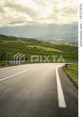 Asphalt road, vineyards and olive trees in 59323950