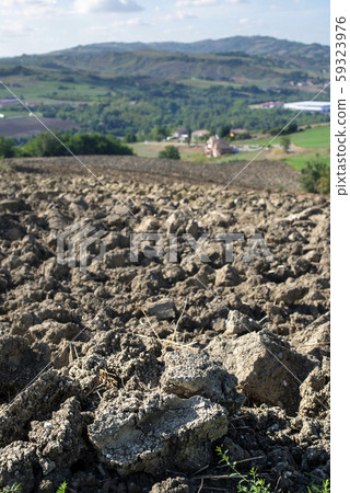 Ploughed soil close up. Sunny day. 59323976