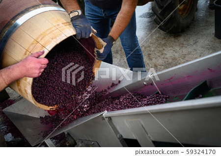 Wine mixing during fermentation process in barrel, Bordeaux Vineyard Wine mixing during fermentation process in barrel, Bordeaux Vineyard 59324170