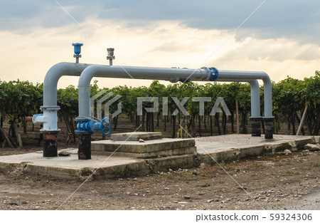 Watering pipes and vineyard. Watering pipes and vineyard. 59324306