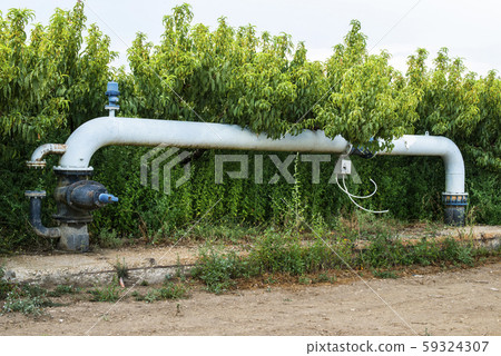Watering pipes and peaches orchard. Watering pipes and peaches orchard. 59324307