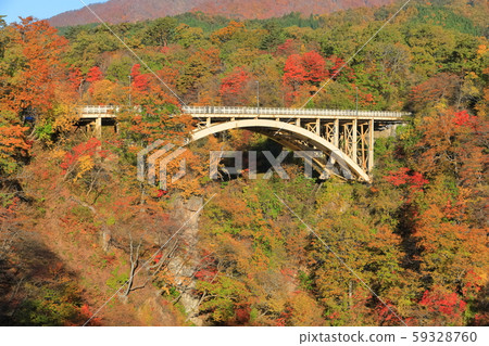 [Miyagi] Autumn leaves of Narukokyo bathed in the Asahi 59328760