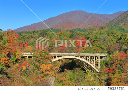 [Miyagi] Autumn leaves of Narukokyo bathed in the Asahi 59328761