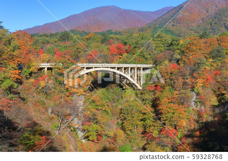 [Miyagi] Autumn leaves of Narukokyo bathed in the Asahi 59328768