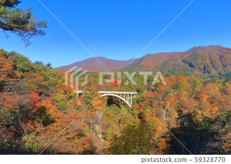 [宮城]火影忍者的紅葉沐浴在旭 59328770