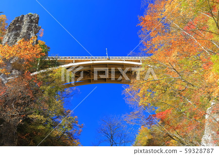 [Miyagi] Autumn leaves of Narukokyo bathed in the Asahi 59328787
