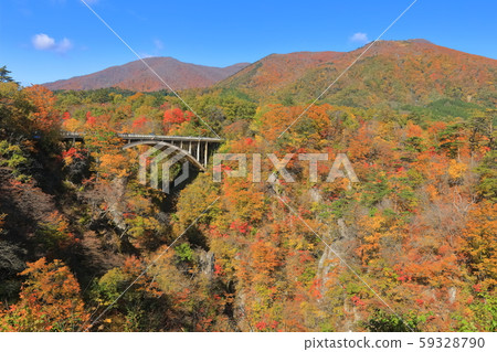 [Miyagi] Autumn leaves of Narukokyo bathed in the Asahi 59328790