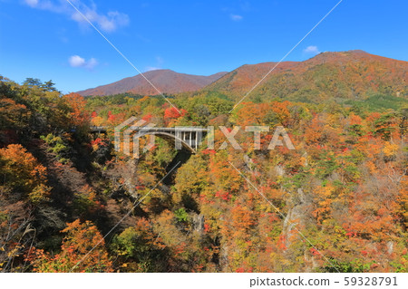 [Miyagi] Autumn leaves of Narukokyo bathed in the Asahi 59328791
