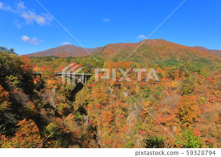 [宮城]火影忍者的紅葉沐浴在旭 59328794