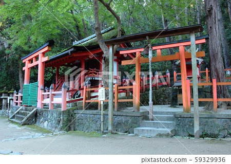 若宮多哥神社的奈良春日大神社之旅 59329936