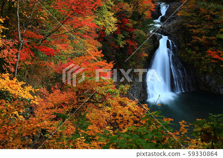 Autumnal Leg Falls Autumnal Leg Falls 59330864