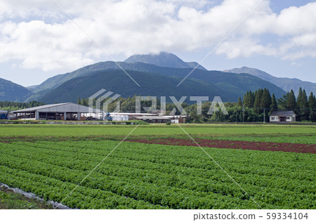 View of Iida Kogen field and Mt. 59334104