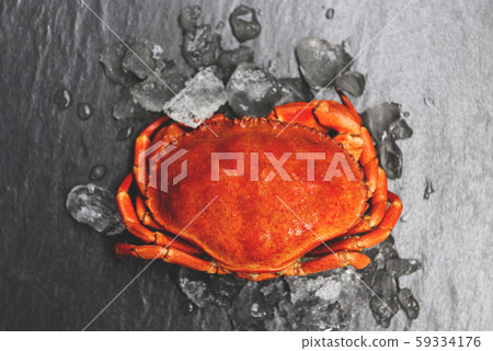 crabs on ice with dark background - Close up of 59334176
