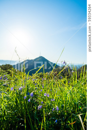 Sumio Mountaintop 59334264
