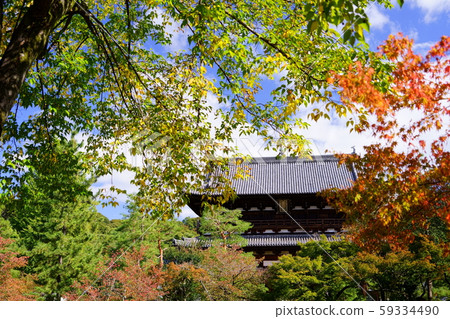 Kyoto, Autumn, Fukuji Temple, Sanmon 4 59334490