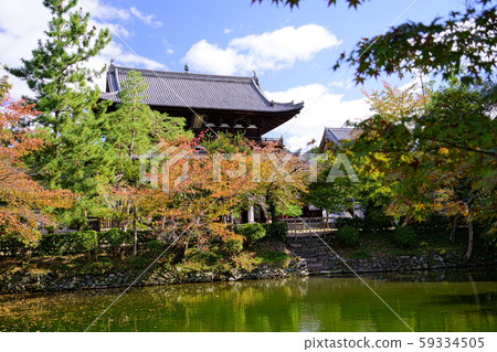 Kyoto / Autumn Fukuji Temple / Sanmon 13 59334505
