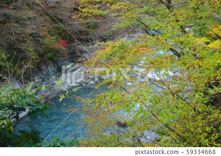 Unexplored: Akiyamago 59334668