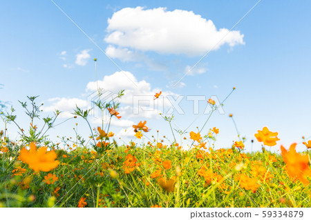 秋天的宇宙 59334879