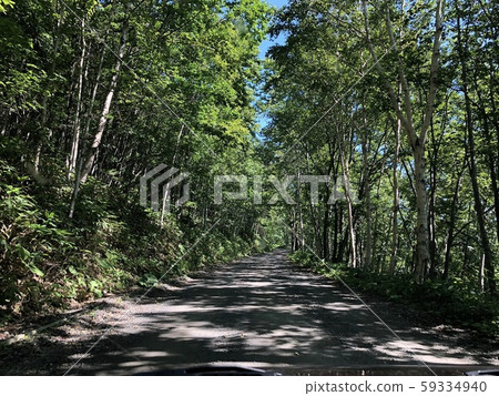 Unexplored area 59334940