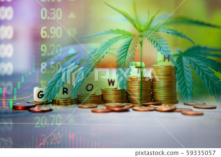 Cannabis Business marijuana leaves and stack of 59335057