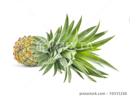 single whole pineapple isolated on white background 59335288