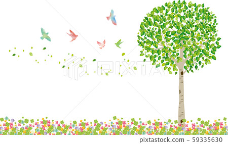 樹:樹枝自然綠色葉子新鮮綠色新芽初夏夏天春春天生態綠色 樹:樹枝自然綠色葉子新鮮綠色新芽初夏夏天春春天生態綠色 59335630