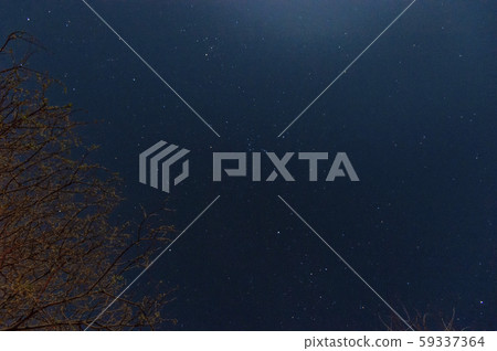 Stars blinking in the night sky 59337364