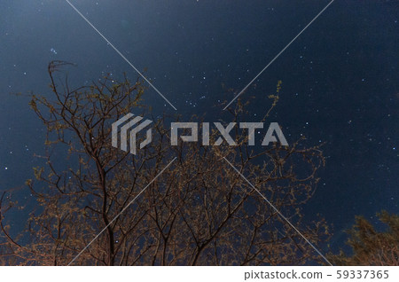 Star of the night sky 59337365