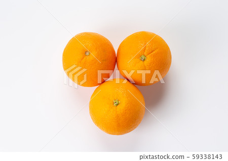 Orange Orange 59338143