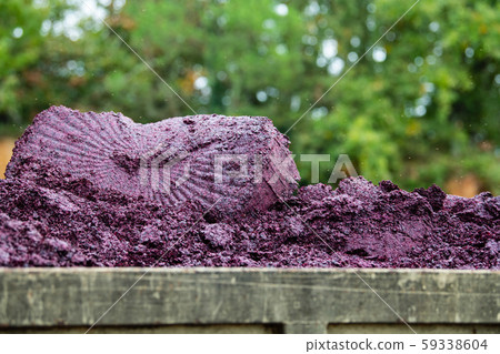 Storage of grape marc after vinification, Bordeaux Vineyard 59338604