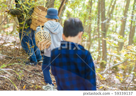 秋天享受采摘蘑菇 秋天享受采摘蘑菇 59339137