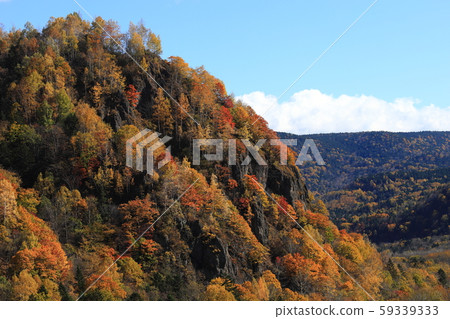 楓山 59339333