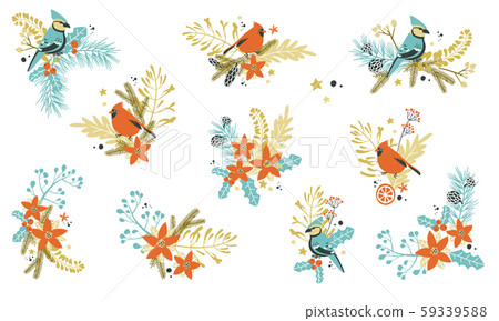 Christmas decorative compositions with traditional plants and birds. Christmas decorative compositions with traditional plants and birds. 59339588