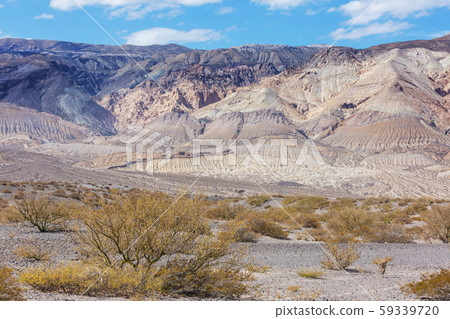 Northern Argentina Northern Argentina 59339720